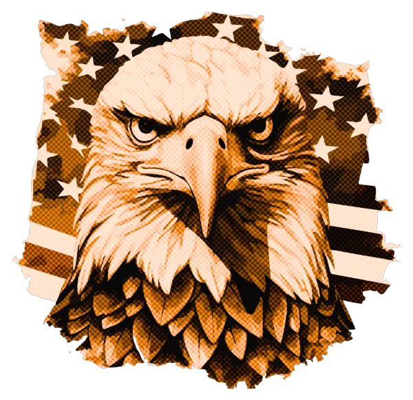 Halftone illustration of an American eagle representing a US-based team