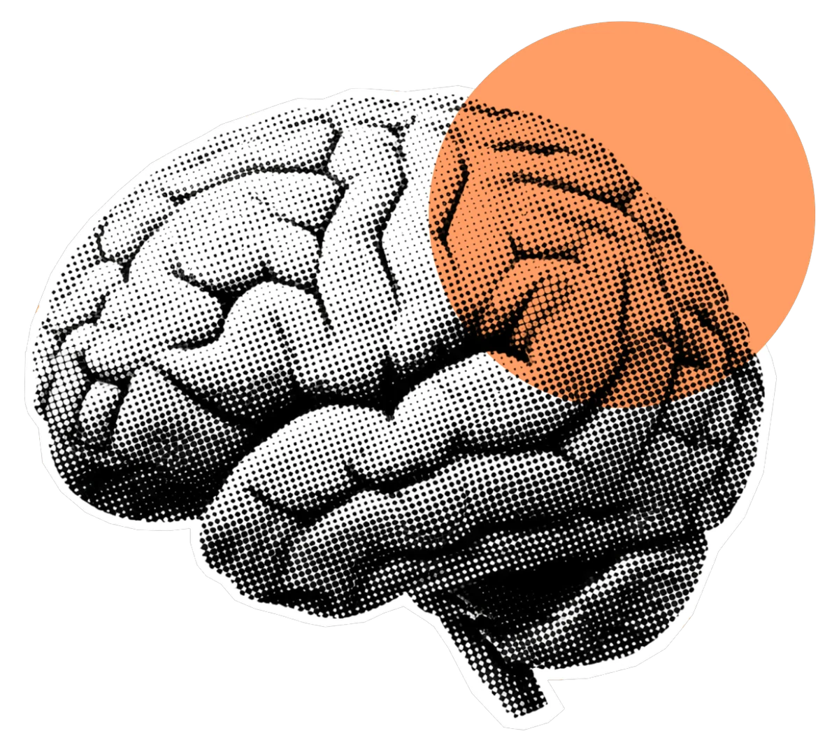 Vintage brain illustration representing AI answer engines and search visibility