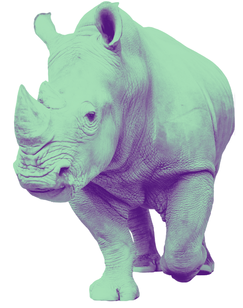 Rambunctious Rhino Digital media and advertising agencies mascot a rhino having a great time